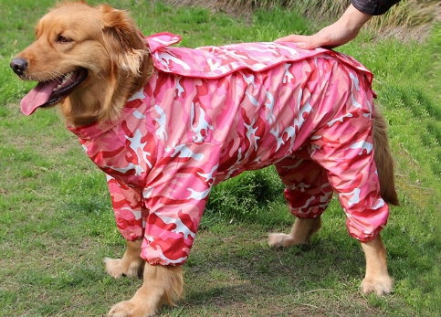 Raincoat Big Dog Golden Retriever Dog Satsuma Border Collie Medium And Large Dogs Full Package Four Feet Pet Waterproof Big Dog Clothes