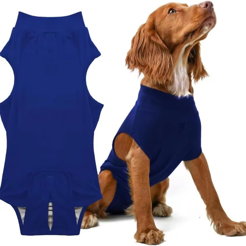 Pet sterilization suit wound anti licking suit suitable for all body types of dogs surgical recovery clothing set ﻿