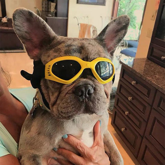 Pet Protection Chihuahua Doggles Dog Sunglasses Pet Goggles UV Eye Wear Yorkie