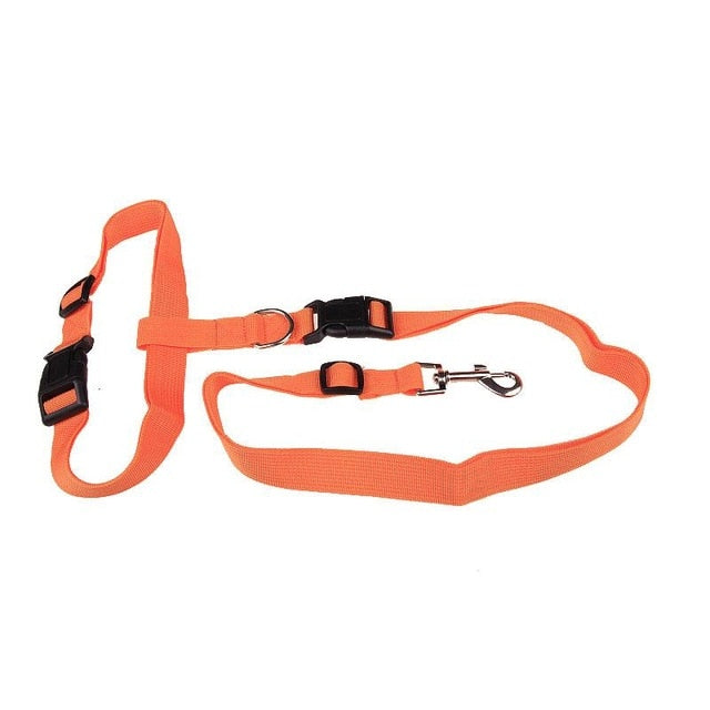 Attractive Traction Pulling Leash Pet Dog Running Jogging Convenient Safe Fashional Goods for pets