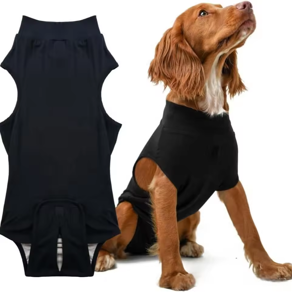 Pet sterilization suit wound anti licking suit suitable for all body types of dogs surgical recovery clothing set ﻿