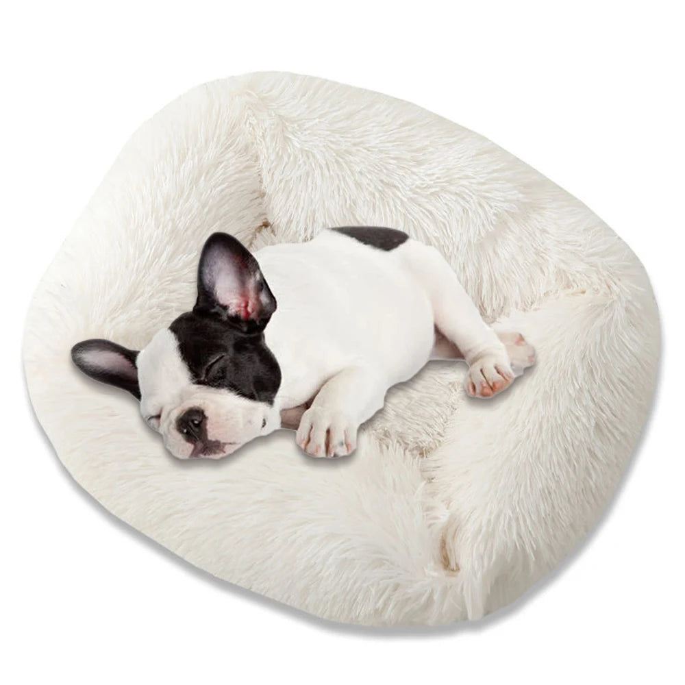 Square Dog Bed Long Plush Solid Color Pet Beds For Little Medium Large Pets Super Soft Warm Sleeping Mats For Dogs Cats